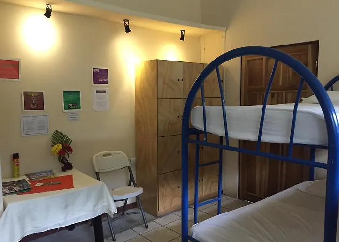 M&m Garden House Hostal Coco