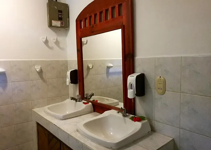 Hostal M&m Garden House Coco