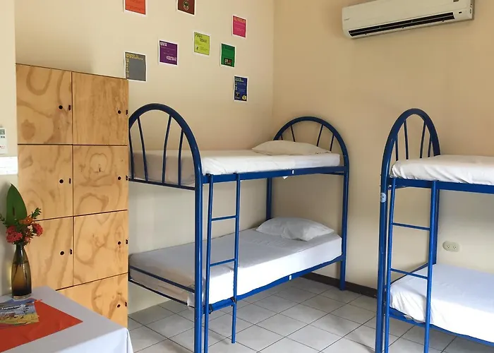 M&m Garden House Hostal Coco