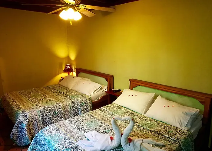 M&m Garden House Hostal