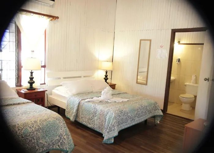 M&m Garden House Hostal